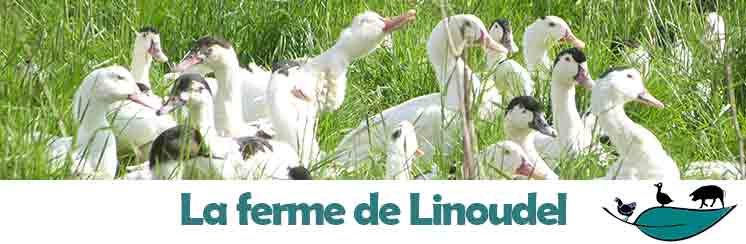 Partenaires - Ferme de Linoudel